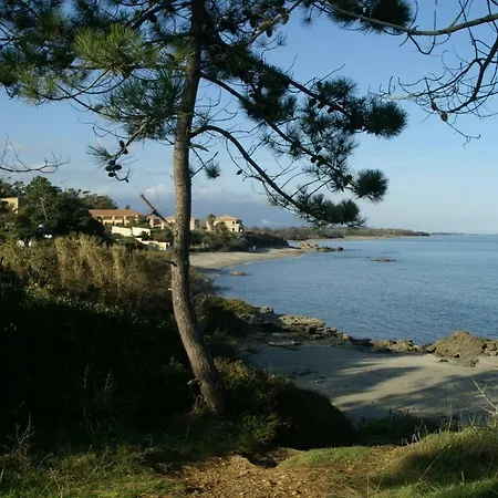Marinella T2 Linguizzetta
